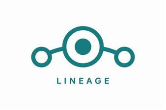 deGoogled Tablet Samsung S6 Lite - LCD 6 lieange os